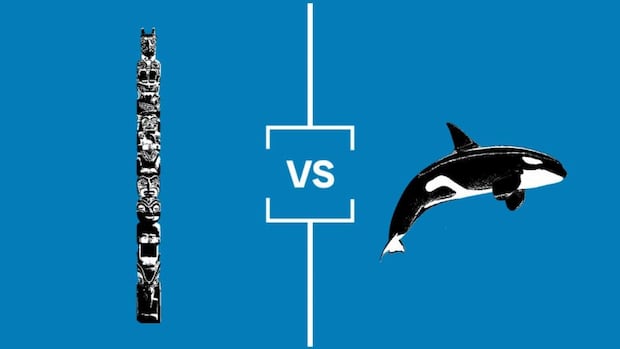 search-for-bc’s-best-symbol:-championship-final-totem-poles-vs.-orcas