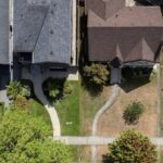 in-a-sea-of-brown-lawns,-why-some-natural-gardeners-are-bringing-messy-back