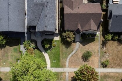 in-a-sea-of-brown-lawns,-why-some-natural-gardeners-are-bringing-messy-back