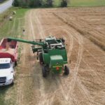 food-is-a-gift:-pei.-farmers-wheat-crop-is-helping-to-reduce-world-hunger