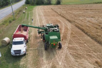 food-is-a-gift:-pei.-farmers-wheat-crop-is-helping-to-reduce-world-hunger
