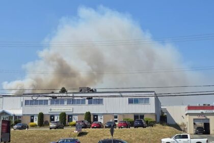 wildfire-burning-near-halifax-business-park-remains-out-of-control
