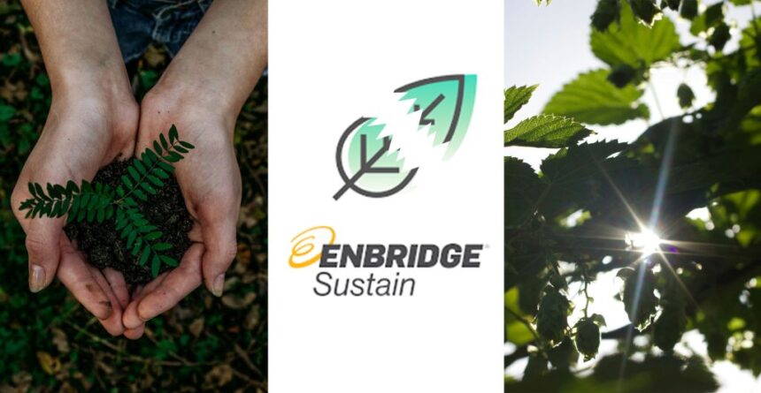 enbridge-sustain-dropping-clean-energy-options-for-ontario-developers