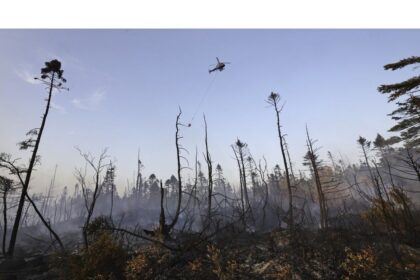 live:-premier-tim-houston-gives-update-on-nova-scotia-wildfires