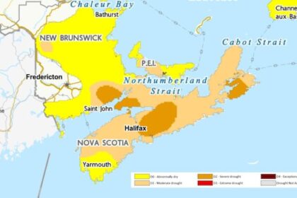 latest-drought-data-has-dropped.-here’s-what-it-says-about-nova-scotia