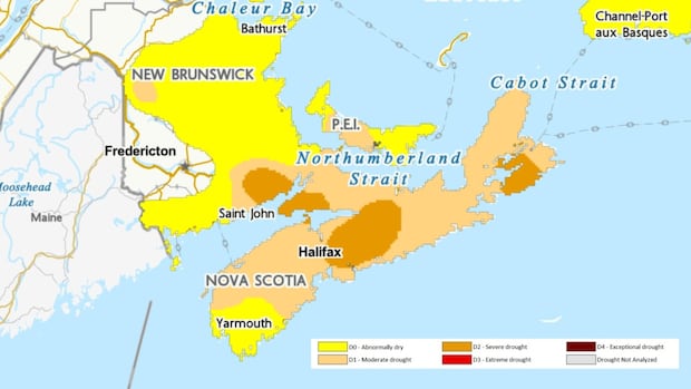 latest-drought-data-has-dropped.-here’s-what-it-says-about-nova-scotia