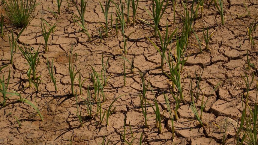 is-climate-change-to-blame-for-nova-scotia’s-drought?