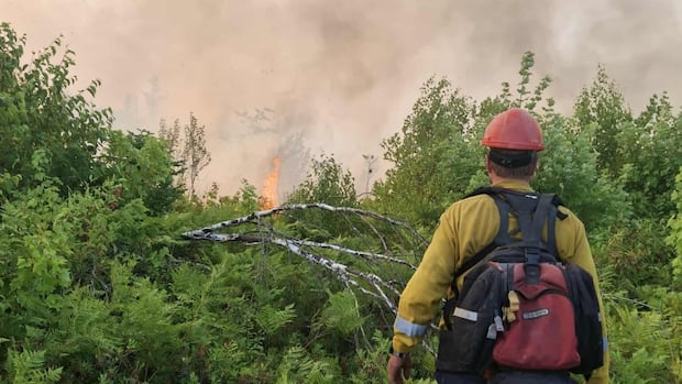 with-16-wildfires-across-the-province,-here-are-the-answers-to-some-faqs