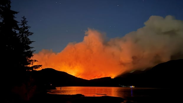 ‘explosive’-wildfire-growth-near-port-alberni,-bc.,-unusual-for-vancouver-island:-wildfire-service