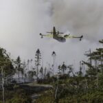 halifax-wildfire-was-human-caused,-ns.-government-confirms