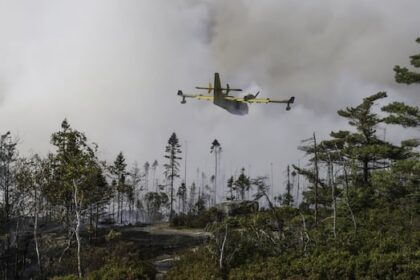 halifax-wildfire-was-human-caused,-ns.-government-confirms