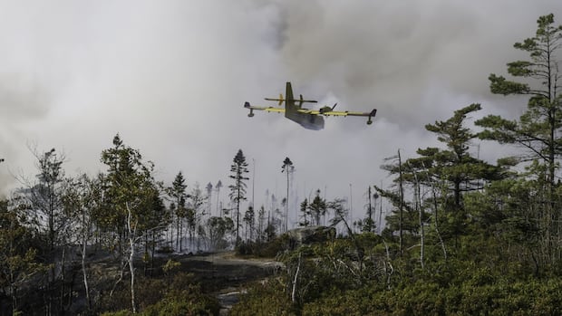 halifax-wildfire-was-human-caused,-ns.-government-confirms