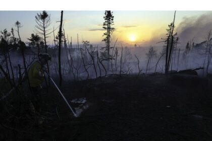 halifax-wildfire-now-being-held,-but-‘could-change-positively-or-negatively’