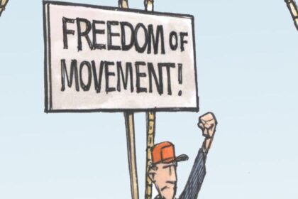 bruce-mackinnon:-nova-scotia-woods-ban-weighs-everybody’s-rights