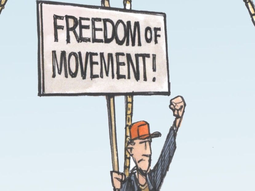 bruce-mackinnon:-nova-scotia-woods-ban-weighs-everybody’s-rights