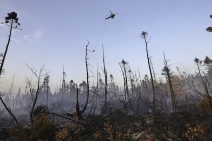wildfire-burning-near-halifax-business-park-being-held