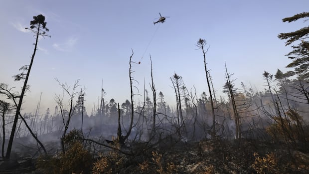 wildfire-burning-near-halifax-business-park-being-held