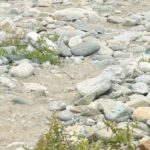 path-to-beach-at-louisbourg-an-‘obstacle-course,’-says-beachgoer