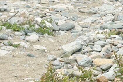 path-to-beach-at-louisbourg-an-‘obstacle-course,’-says-beachgoer