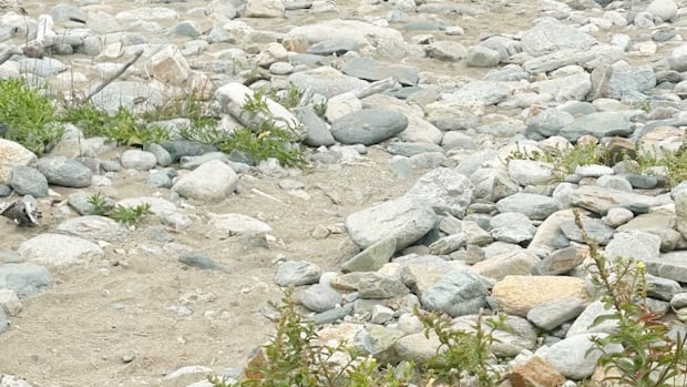 path-to-beach-at-louisbourg-an-‘obstacle-course,’-says-beachgoer