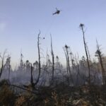 wildfire-burning-near-halifax-business-park-unlikely-to-spread