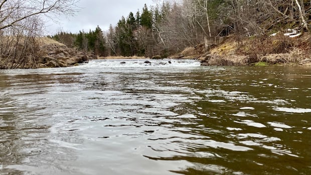 low-water-levels-on-the-island-normal-for-this-time-of-year,-says-pei.-government