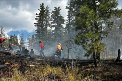 illegal-fireworks-may-have-sparked-back-to-back-okanagan-wildfires,-rcmp-say