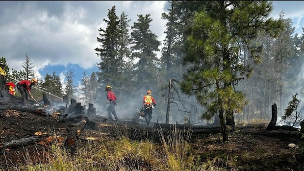 illegal-fireworks-may-have-sparked-back-to-back-okanagan-wildfires,-rcmp-say