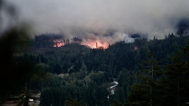 wildfire-south-of-port-alberni,-bc.,-grows,-but-rain-expected-in-the-forecast