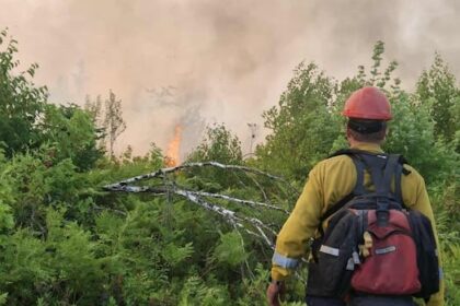 with-wildfires-across-the-province,-here-are-the-answers-to-some-faqs