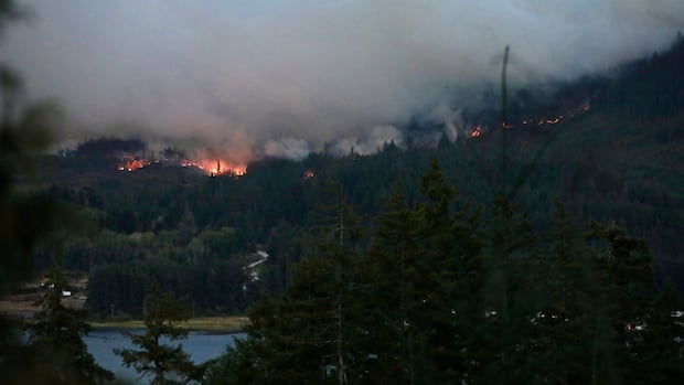 wildfire-crews-hope-for-reprieve-as-rain-falls-on-vancouver-island-blaze