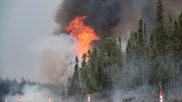 nb.’s-largest-fire-still-out-of-control-on-day-10,-firefighters-coming-from-alberta