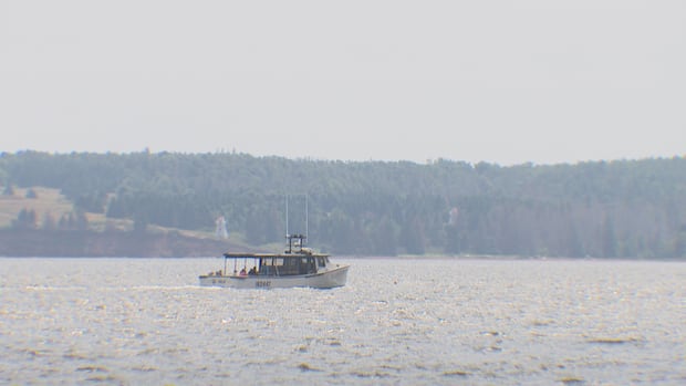 less-wildfire-smoke-in-pei.-skies,-but-islanders-still-advised-to-take-precautions