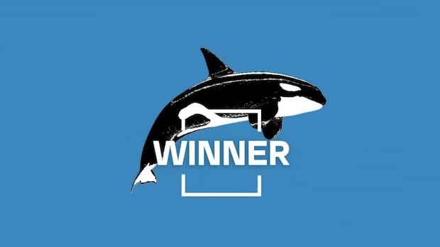 the-orca-crowned-winner-of-the-search-for-bc.’s-best-symbol