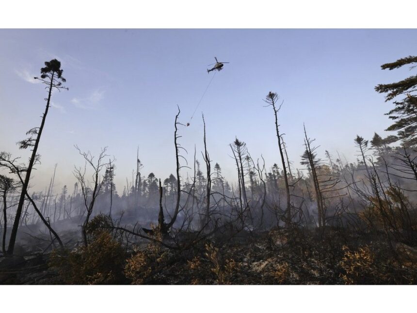dnr-pilot-survives-helicopter-crash-while-fighting-long-lake-wildfire