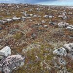 northern-manitoba-walking-tours-of-ancient-inuit-hunting-camp-not-authorized,-province-says