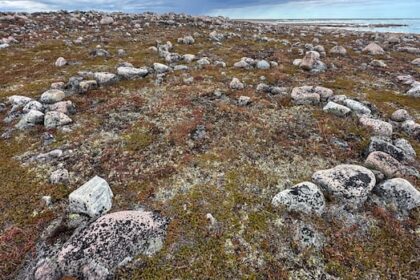 northern-manitoba-walking-tours-of-ancient-inuit-hunting-camp-not-authorized,-province-says
