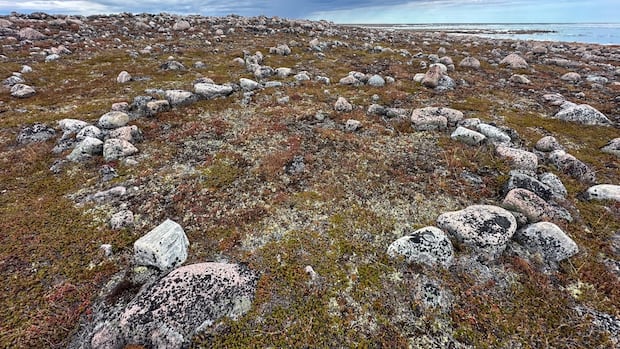 northern-manitoba-walking-tours-of-ancient-inuit-hunting-camp-not-authorized,-province-says