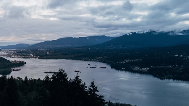 study-finds-impacts-of-colonization-destroyed-nearly-90%-of-burrard-inlet-food-ecosystems