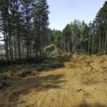 weather-conditions-cause-long-lake-wildfire-to-double-in-size