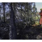 local-state-of-emergency-declared-as-long-lake-wildfire-doubles-in-size