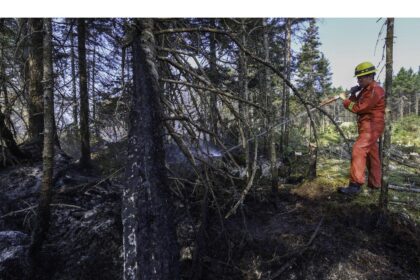 local-state-of-emergency-declared-as-long-lake-wildfire-doubles-in-size