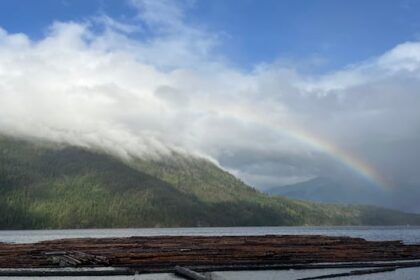 cautious-optimism-after-rain-helps-quell-mount-underwood-wildfire-near-port-alberni,-bc.