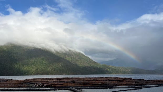 cautious-optimism-after-rain-helps-quell-mount-underwood-wildfire-near-port-alberni,-bc.