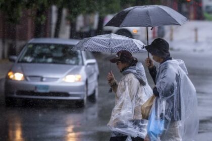 4-bc.-communities,-including-vancouver,-shatter-rainfall-records