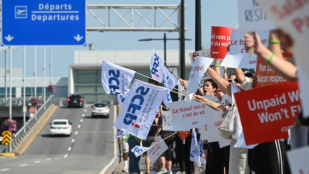flight-attendants-ordered-back-to-work-say-labour-law-violates-right-to-strike