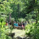 summer-camps-in-nova-scotia-take-precautions-amid-wildfire-threat