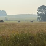 ‘more-evacuations-possible’-as-long-lake-wildfire-grows-to-more-than-1,100-hectares