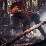 wildfire-that-forced-hundreds-to-flee-on-vancouver-island-now-under-control
