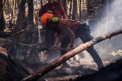 wildfire-that-forced-hundreds-to-flee-on-vancouver-island-now-under-control